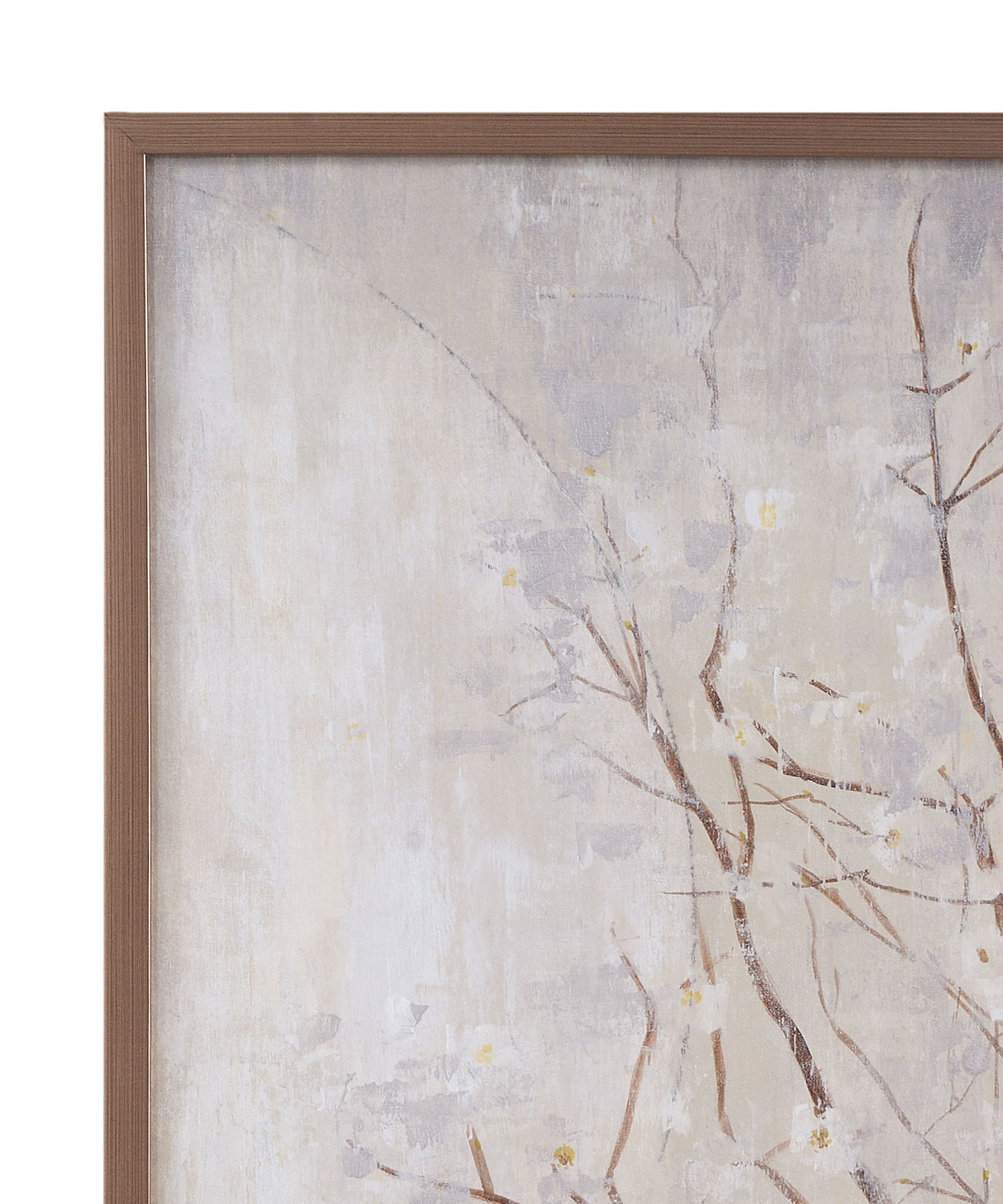 Dogwood Branches - Framed Print - Brown