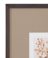 Parchment Coral - Framed Print (Set of 4) - Brown