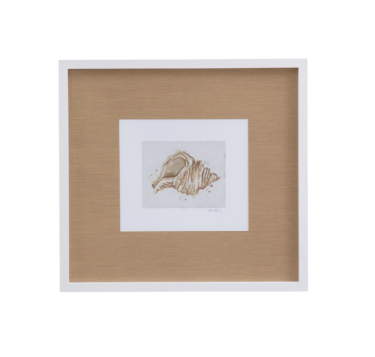 Neutral Shell Fresco - II Framed Print - Light Brown / White