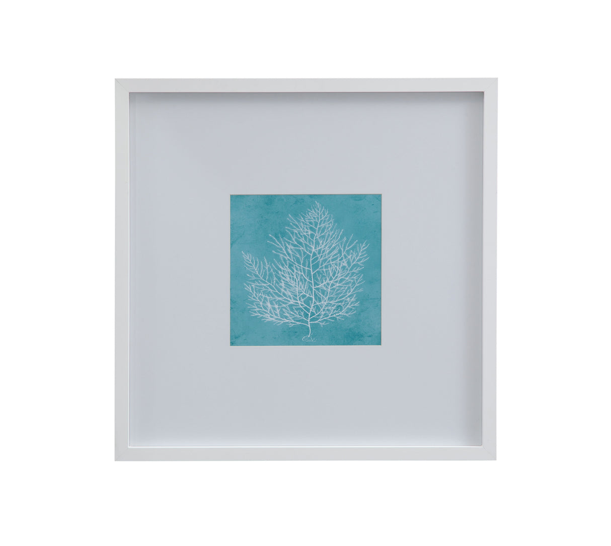 White Coral On Blue - I Framed Print - Blue / White