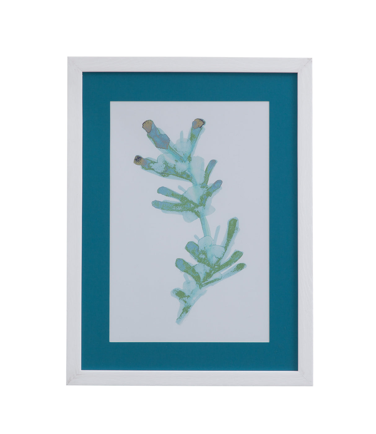 Watercolor Seaweed - II Framed Print - Blue / White