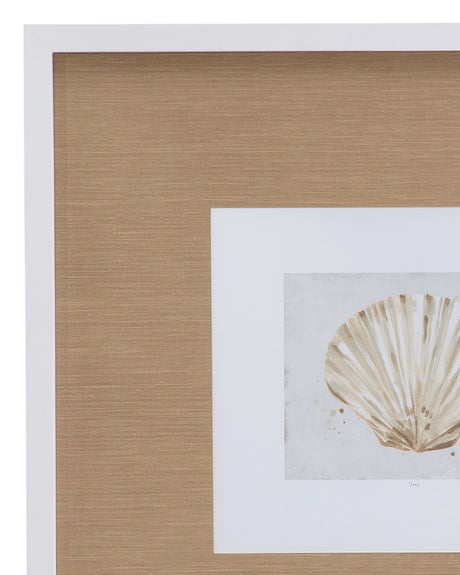 Neutral Shell Fresco - IV Framed Print - Light Brown / White