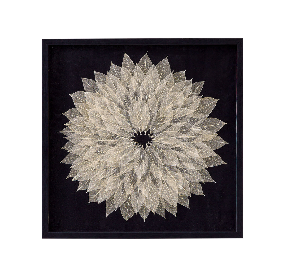 Translucent Leaf - Wall Art - Black / Beige