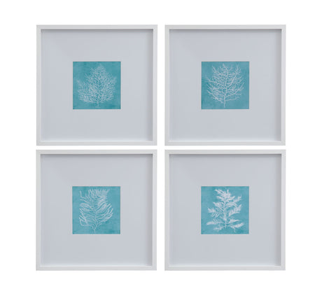 White Coral On Blue - III Framed Print - Blue / White