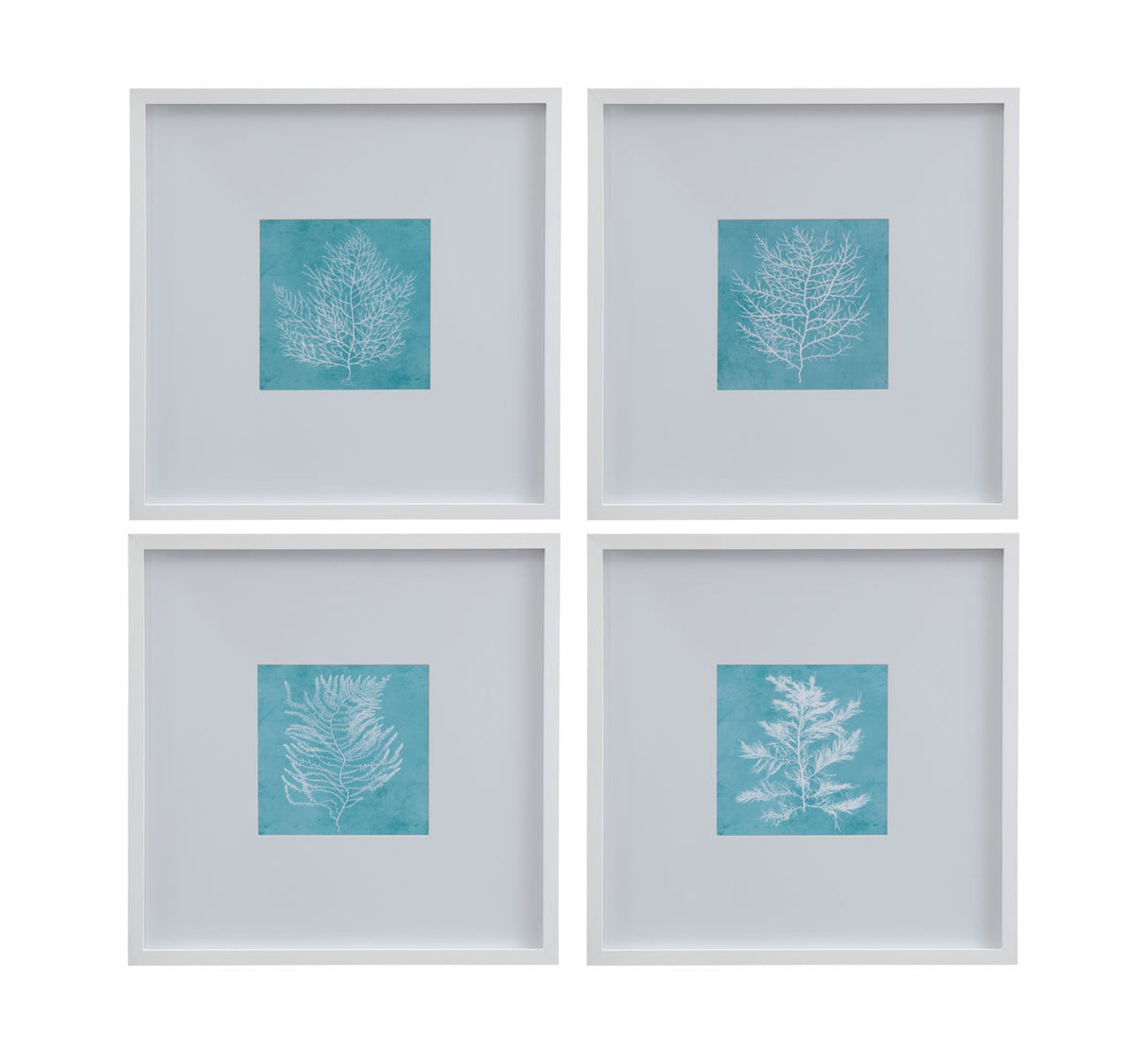 White Coral On Blue - II Framed Print - Blue / White