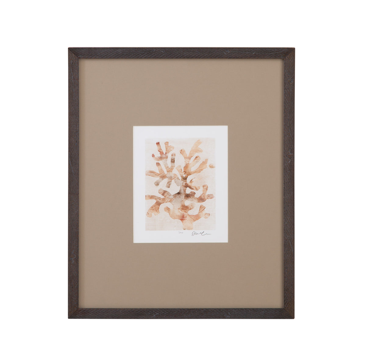 Parchment Coral - I Framed Print - Brown