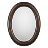 Mirror With Antique Gold Undertones - Dark Bronze