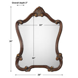 Mirror - Lightly Distressed Bronze