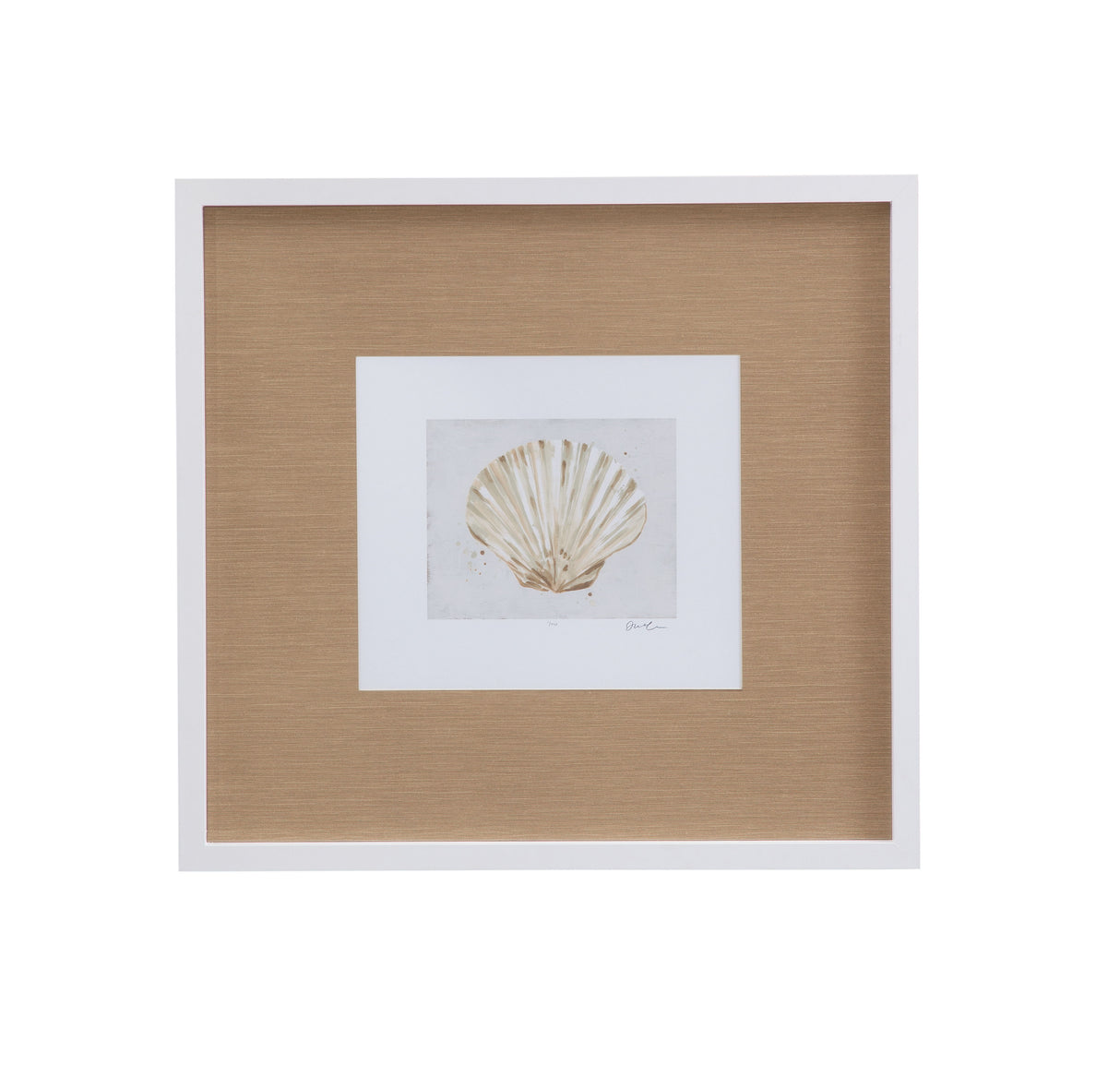 Neutral Shell Fresco - IV Framed Print - Light Brown / White