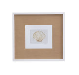 Neutral Shell Fresco - IV Framed Print - Light Brown / White