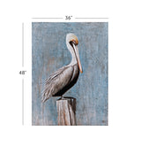 Pelican - Canvas Art - Blue