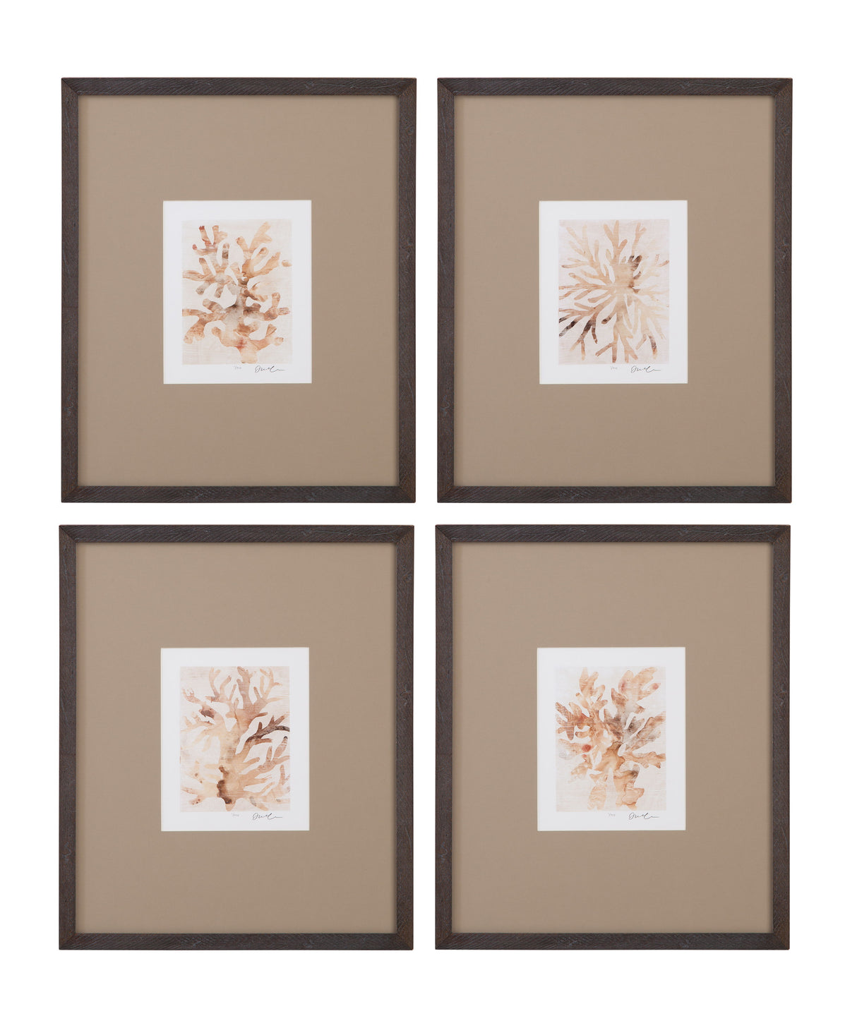 Parchment Coral - Framed Print (Set of 4) - Brown