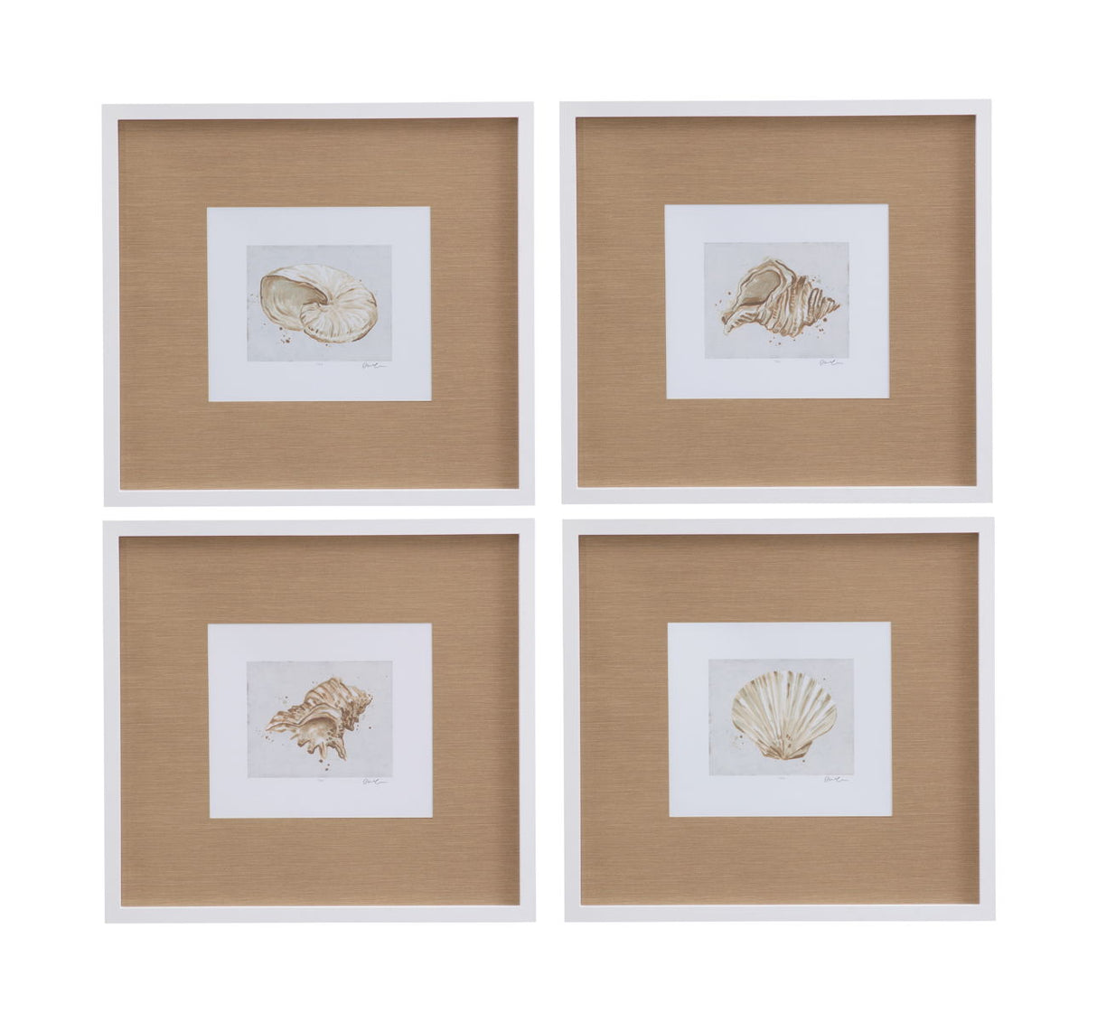 Neutral Shell Fresco - IV Framed Print - Light Brown / White