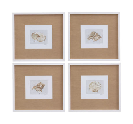 Neutral Shell Fresco - III Framed Print - Light Brown / White