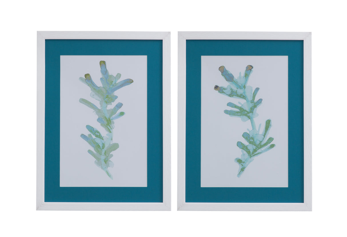 Watercolor Seaweed - Framed Print (Set of 2) - Blue / White