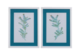 Watercolor Seaweed - Framed Print (Set of 2) - Blue / White