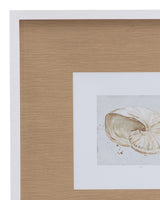 Neutral Shell Fresco - I Framed Print - Light Brown / White