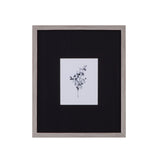 Brume Botanical - IV Framed Print - Black / Gray