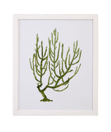 Coral Souvenirs - III Framed Print - Green