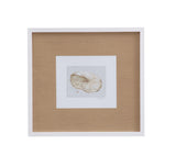 Neutral Shell Fresco - I Framed Print - Light Brown / White