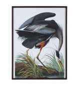 Audubon Great Blue Heron - Framed Print - Gray