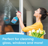 Windex Glass and Window Cleaner 23 Fl Oz