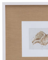 Neutral Shell Fresco - II Framed Print - Light Brown / White