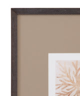 Parchment Coral - II Framed Print - Brown