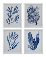 Seaweed Under Water - Framed Print (Set of 4) - Blue