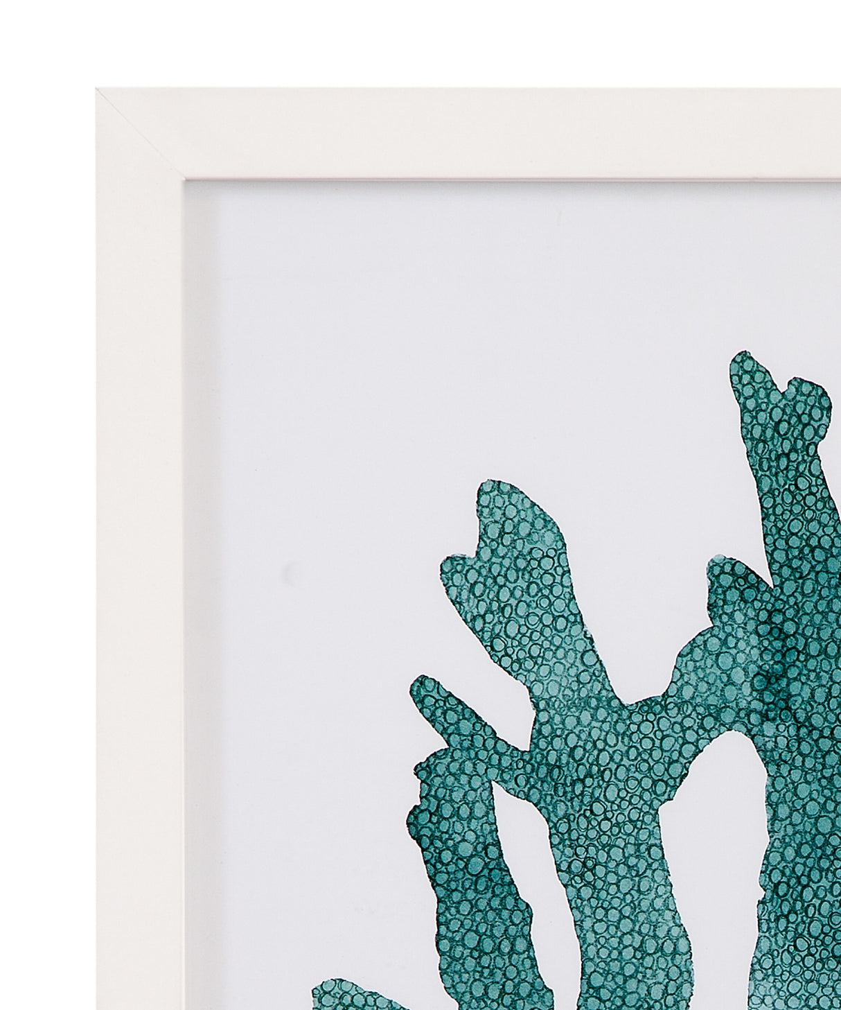 Coral Souvenirs - Framed Print (Set of 4) - Green / Blue