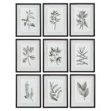Farmhouse Florals - Framed Prints, Set Of 9 - Black