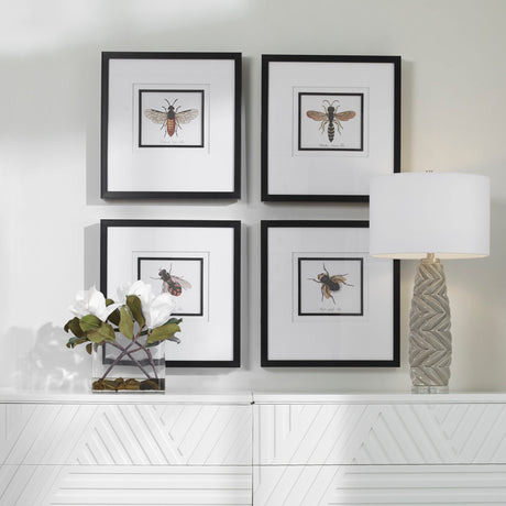 Anthophila - Framed Prints, Set Of 4 - Black