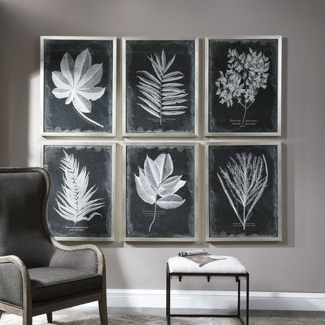 Foliage - Framed Prints, Set Of 6 - Black