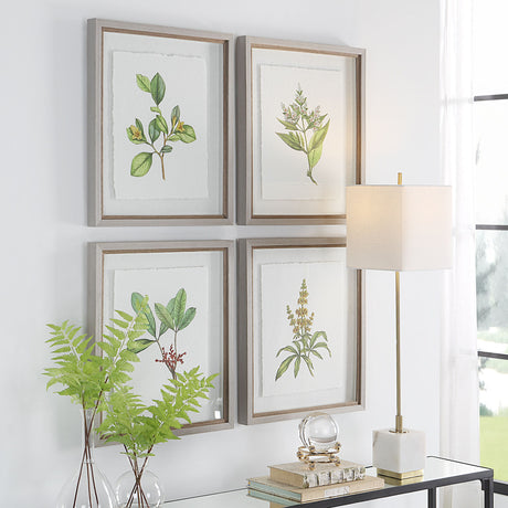 Wildflower Study - Framed Prints (Set of 4)