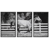 Galloping - Forward Equine Prints (Set of 3)