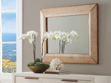 Carmel - Asilomar Rectangular Mirror - Beige