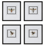 Anthophila - Framed Prints, Set Of 4 - Black