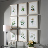 Antique - Botanicals Framed Prints (Set of 9)