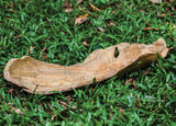 Teak - Leaf Bowl - Light Brown