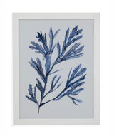 Seaweed Under Water I - Framed Print - Blue